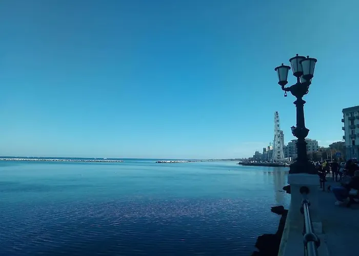 Daire Mondrian-bozzi 59 *