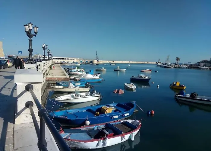 Mondrian-bozzi 59 Daire